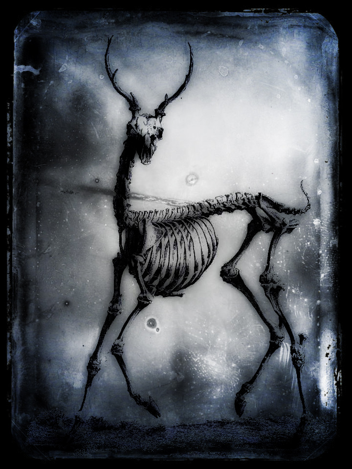 copyright 2012 Christopher Leibow