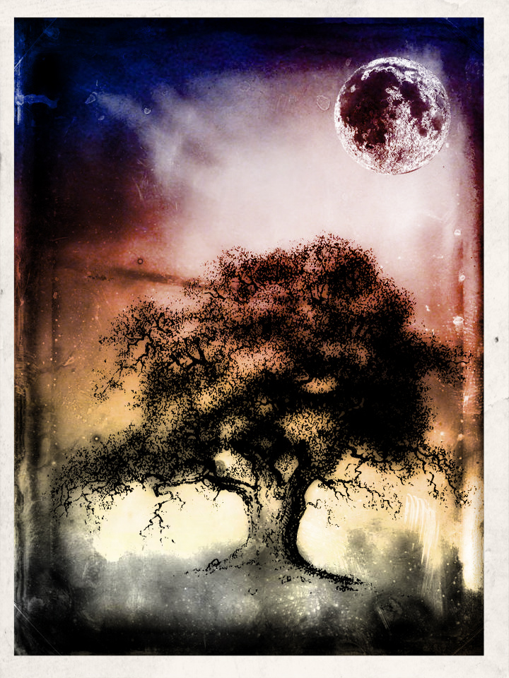 copyright 2012 christopher leiibow