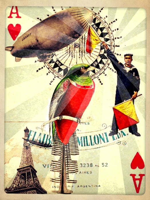 Ace of Hearts Parrot