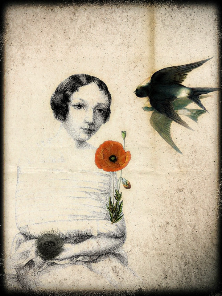 girl and bird shadow