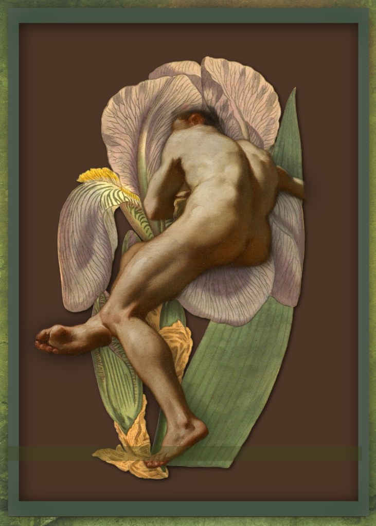Surreal collage by Chris Leibow depicting a reclining nude figure intertwined with a large iris flower against a brown background.